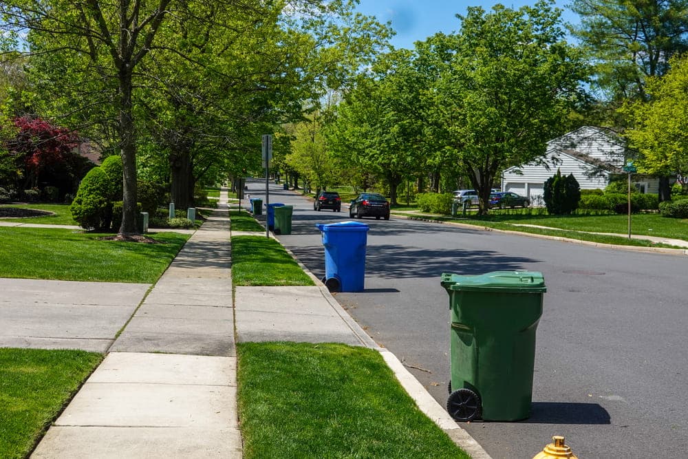 tree-lined-street-green